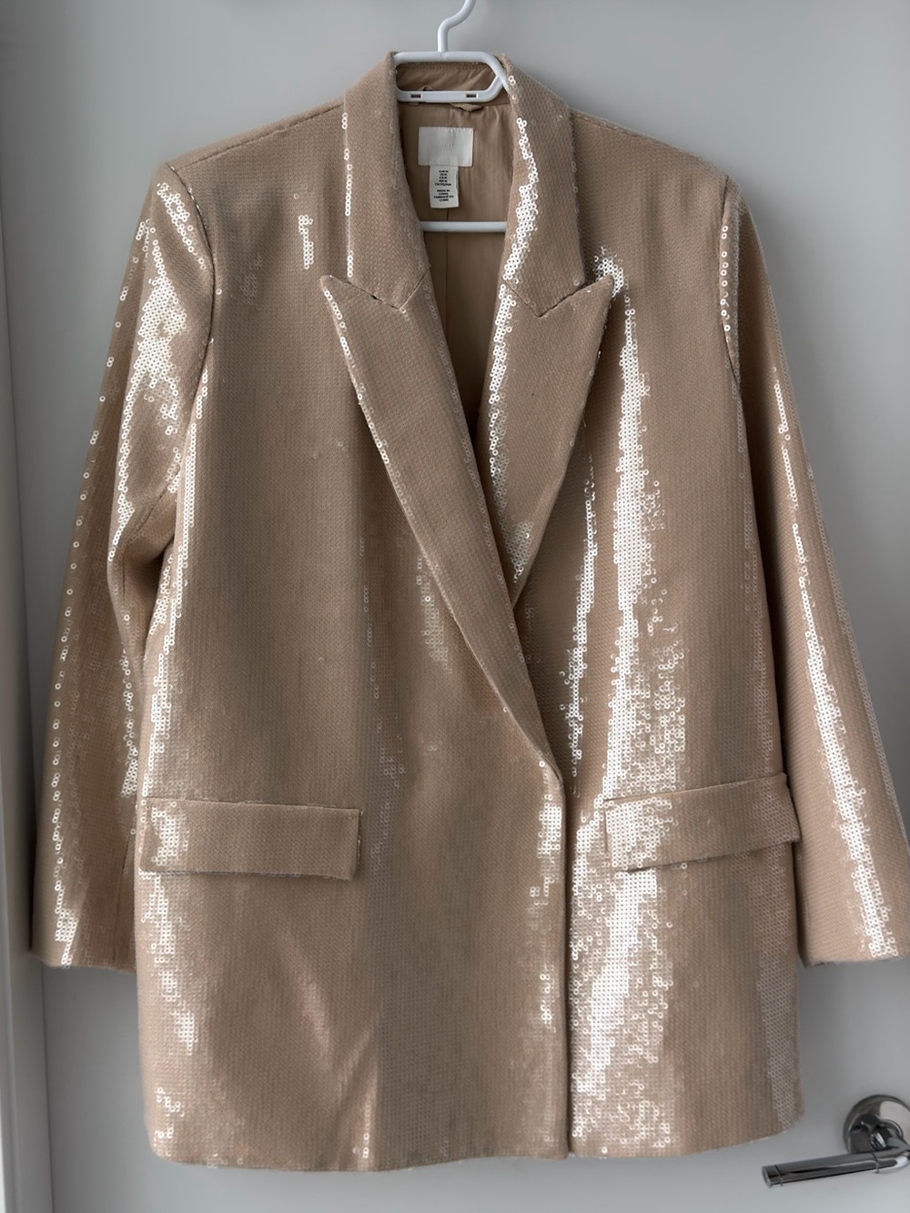 H&M Champagne Sequin Blazer